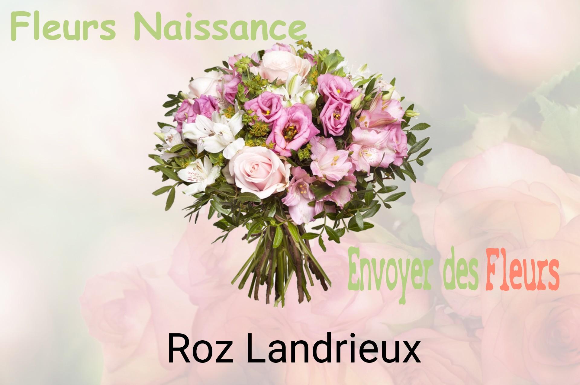 Bouquet de fleurs de naissance livré à Roz-Landrieux